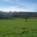DSCF3627